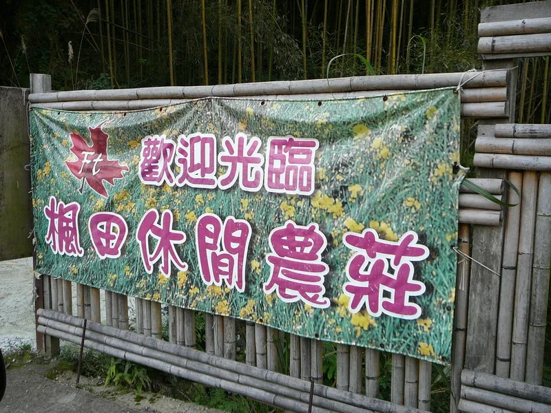 入口處~