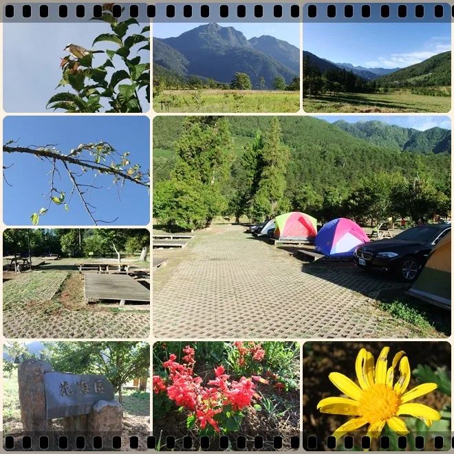 天亮了，冷到起床，但看了四週的美景，就不回去睡了，武陵是一整天都很美啦!!!看到別人拿了大砲，自己也學人家拍了一張，拉到底終於拍到樹上的小鳥還有露營現在也是高級享受了，連開BMW的大車也來露營也~呵呵