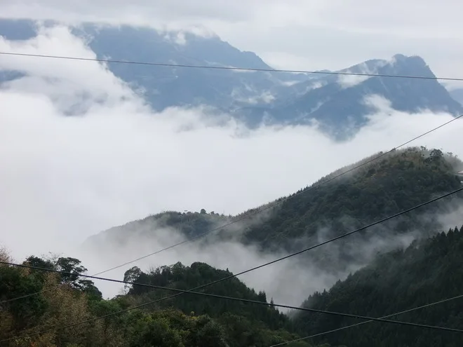 上到山頂後，天氣比較涼了點，也有些霧氣