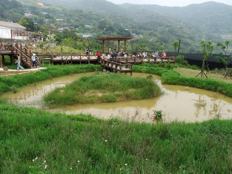 內湖白石湖吊橋
