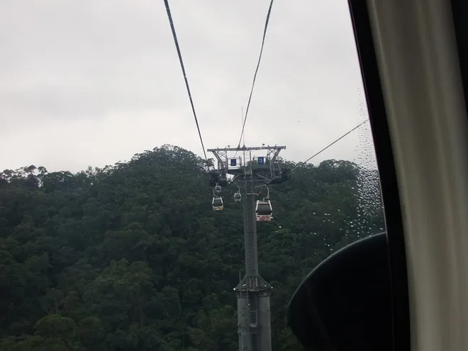 貓纜一景