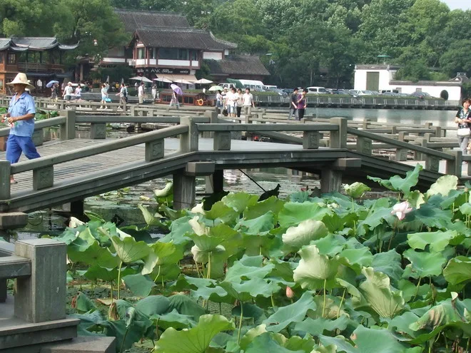 這個橋很有詩情畫意~不過太熱了點