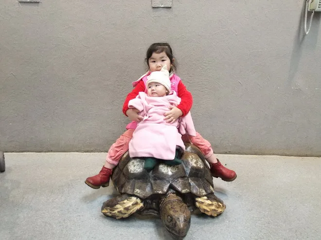 姊姊抱妹妹~