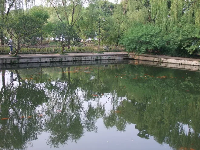主要就是這個魚池~但是我覺得西湖的魚~比較大隻