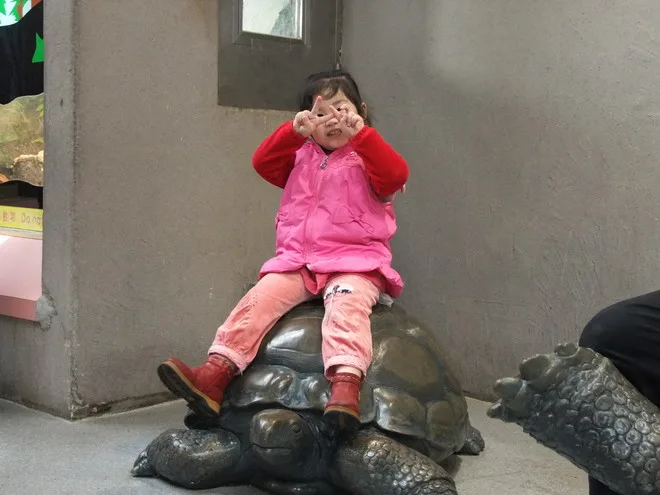 小恩逛動物園