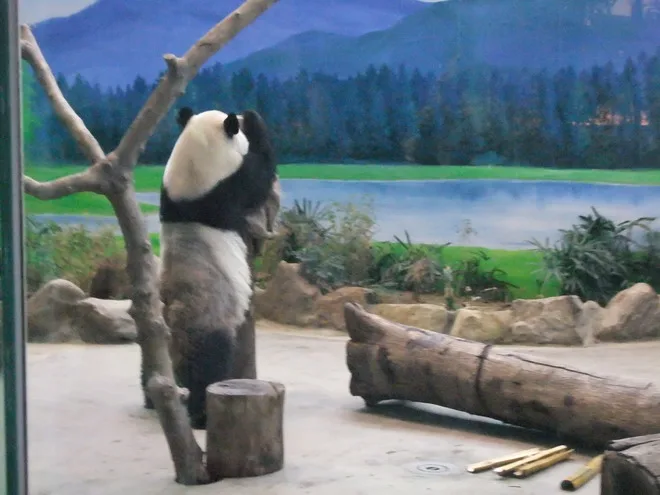 小恩逛動物園