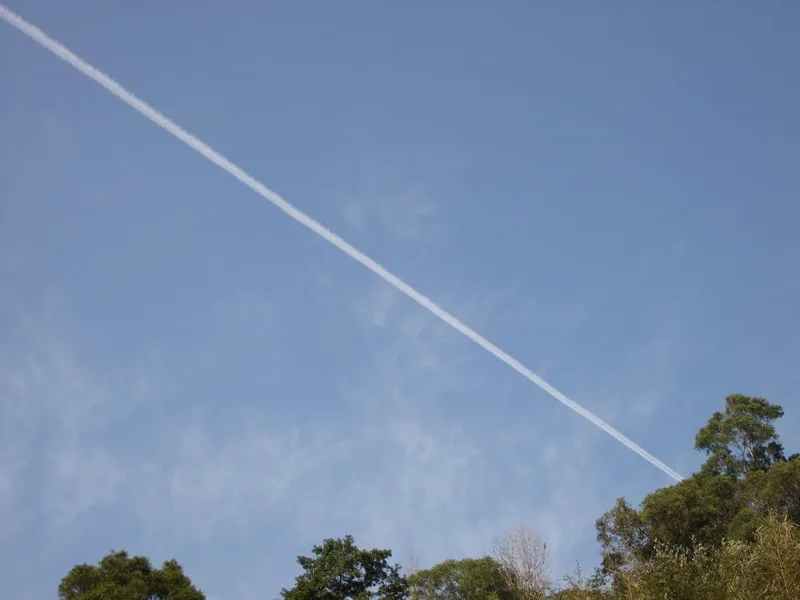 北橫櫻花大道