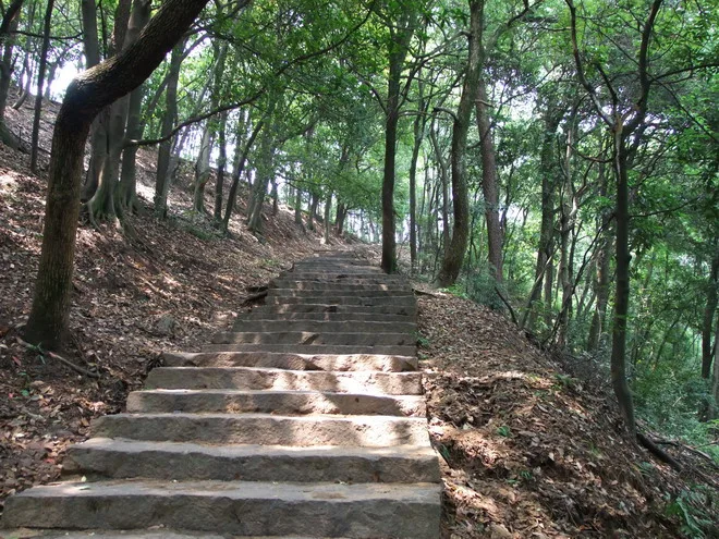天啊!全都是這總路線
