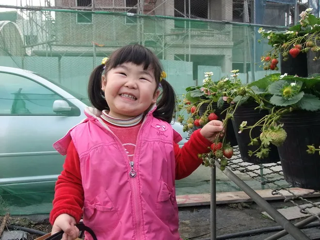 官方網站:http://www.tomatohome.com.tw/
