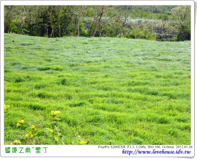 草地～也是一整個綠，好啦！我有加上CPL，不過，實際看真的很綠啦！