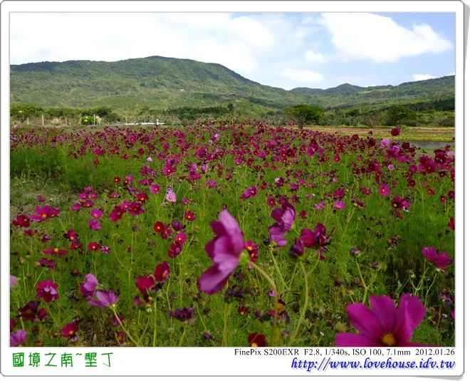 來到第一站，滿州花海