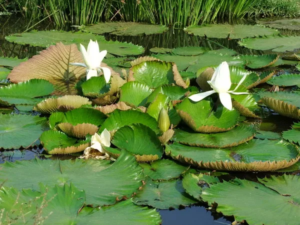 孝子圖~陽光河濱運動公園