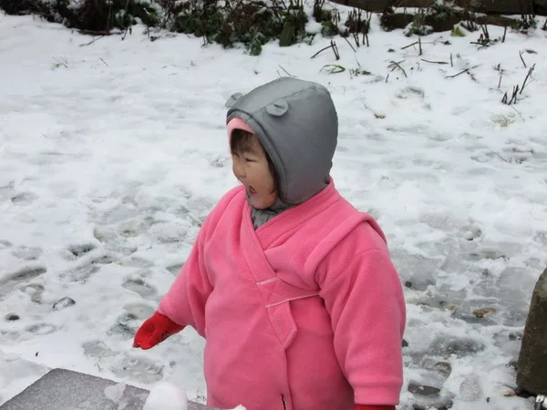 合歡山賞雪記