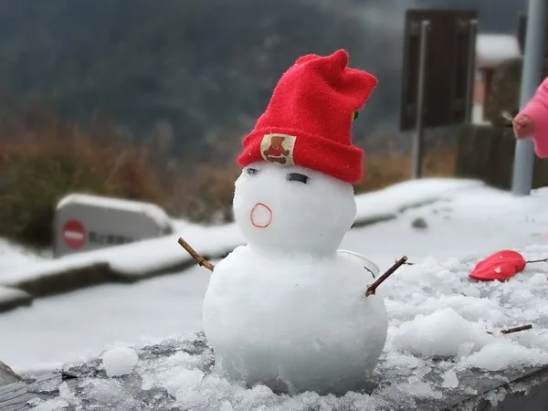合歡山賞雪記