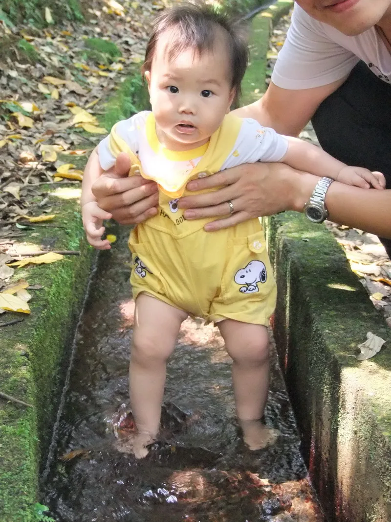 看得出來，真的很涼吧！