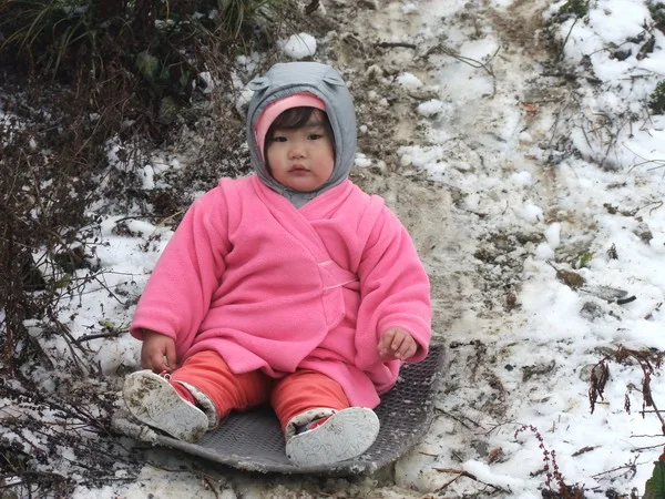 合歡山賞雪記