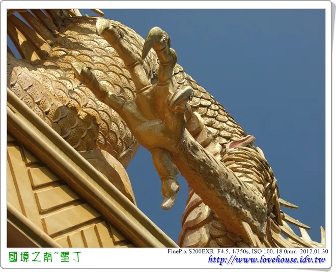 看到金龍了!龍爪看起來真的很有力量