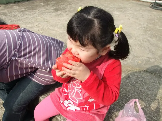 關西採草莓之旅