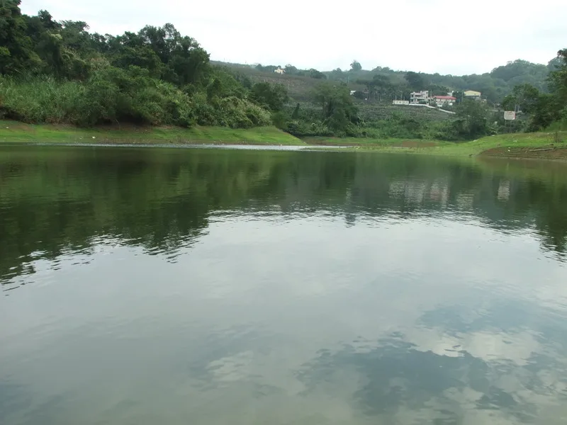 鯉魚潭真的很美說