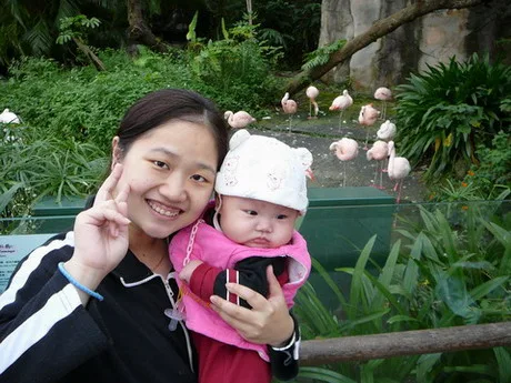 1.第一次來到動物園，超好奇，到處看看！