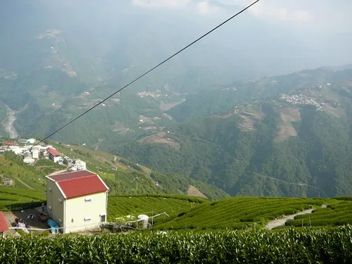這次因為梨山通往環山部落的道路坍方,親眼目睹巨大落石不斷的落下大雨又一直下,為了大家的安全,會長宣布,取消環山部落義診從南投回家!!!
