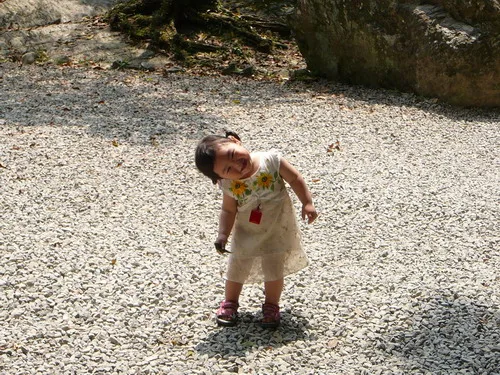 主題：小真在內洞快樂的享受大自然日期：2009/05/16地點：烏來內洞森林遊樂區