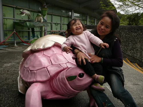 木柵動物園之旅