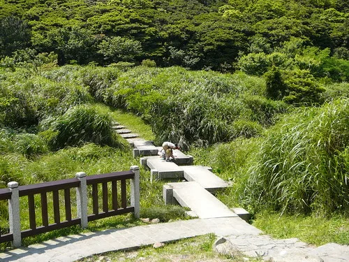傳說中的蝴蝶花廊及陽明山海芋季