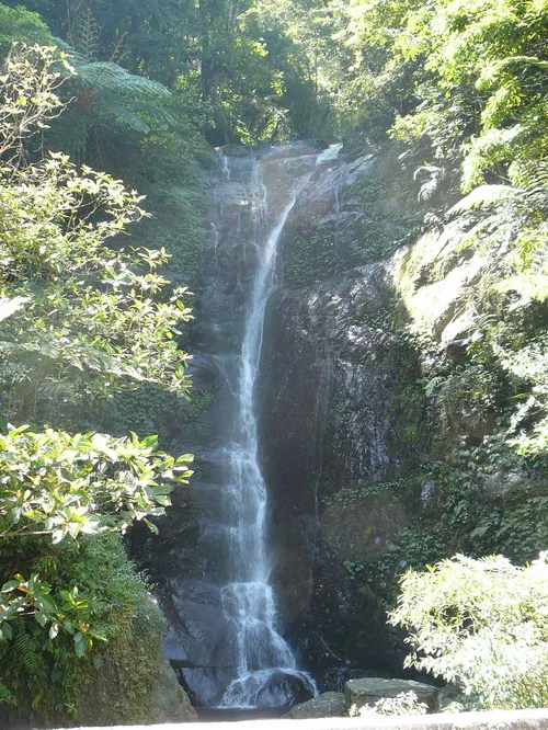 偷的浮生半日閒～桶後