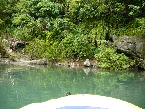 坪林親水之旅