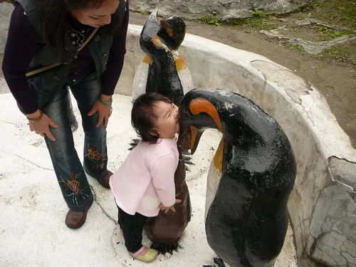 木柵動物園之旅