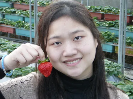 1.小君與草莓