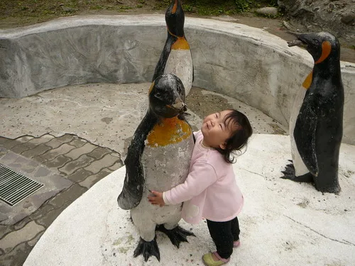 木柵動物園之旅