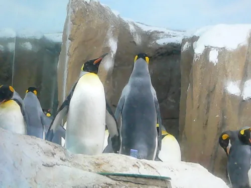 木柵動物園之旅