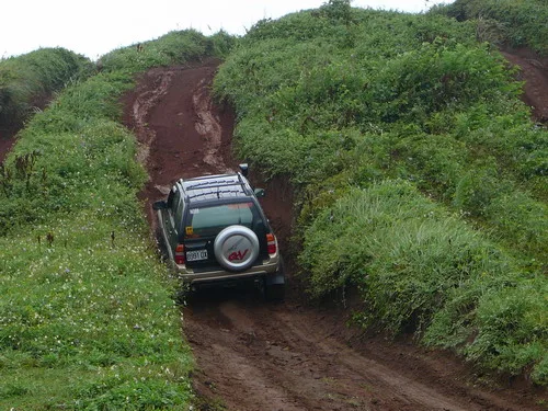 淺水灣讓四傳運動