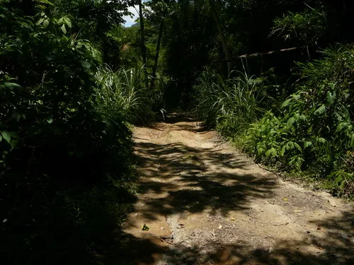 這就是我個人認為不需要四傳的道路，可是我.......卻開不過來！唉～～～