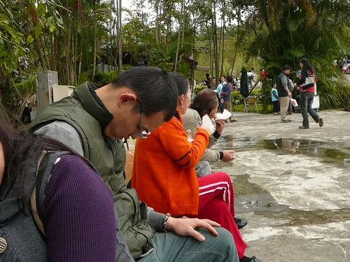 木柵動物園之旅