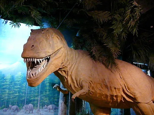 木柵動物園之旅