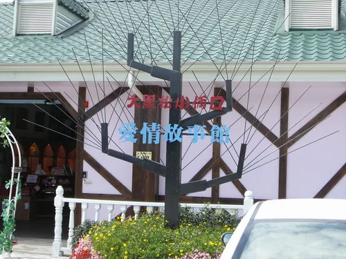 第三景點～大黑松小倆口-愛情故事館